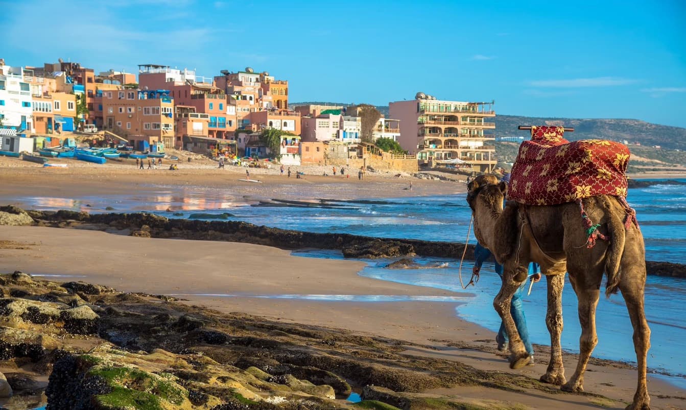 Camel Ride in Agadir — photo 3