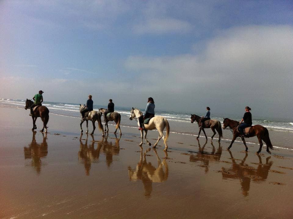 Horse Ride in Agadir