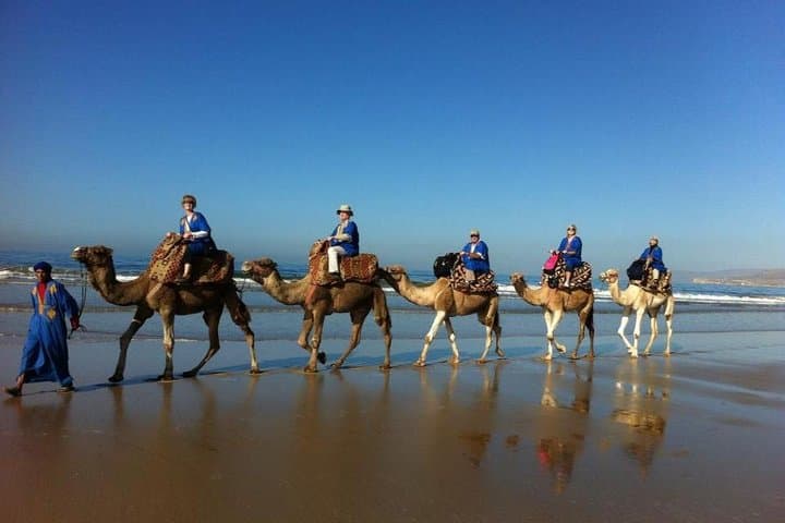 Sunset Camel Ride & Barbecue