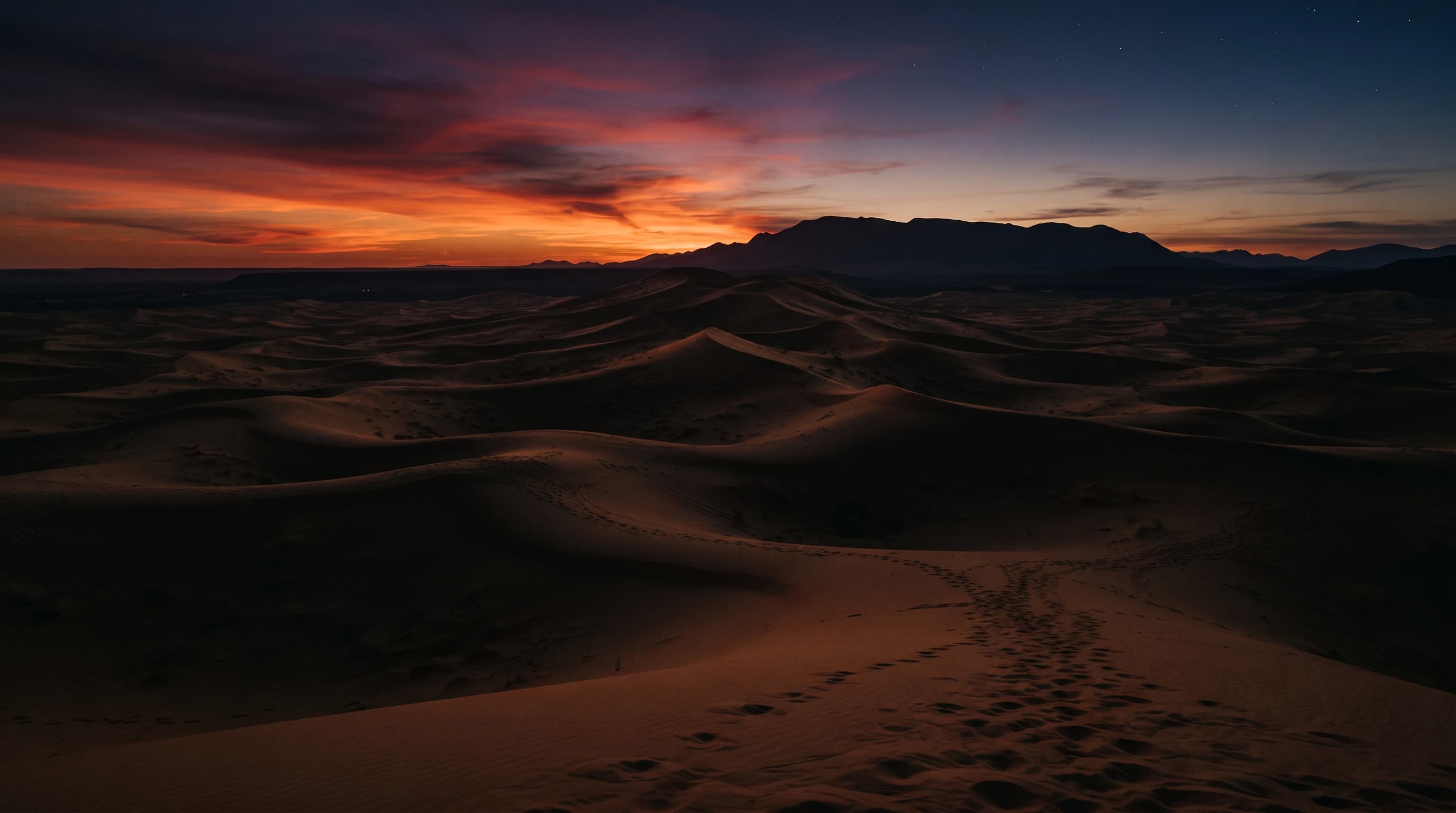 Zagora dunes at golden hour, camel caravan