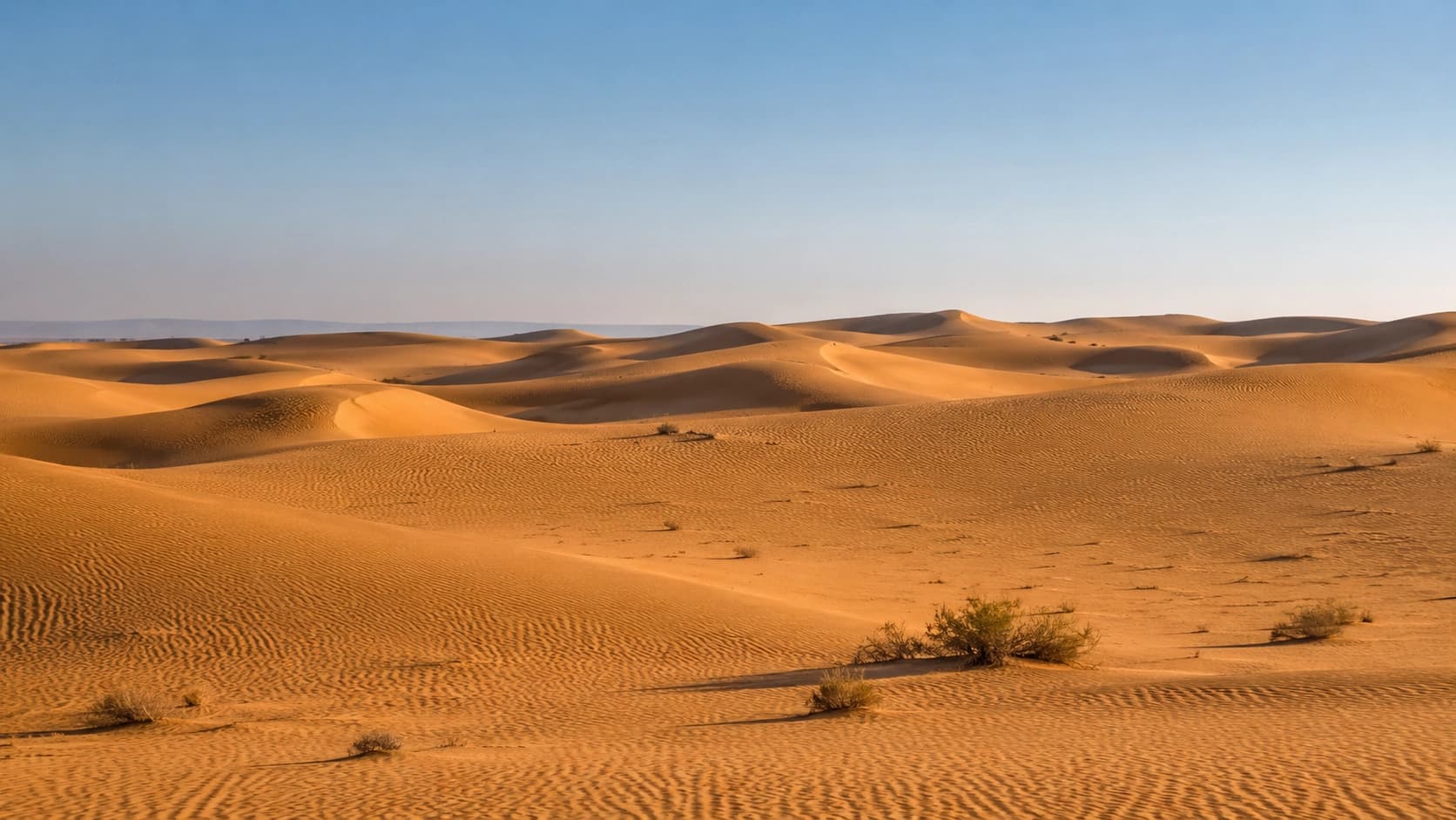 Sidi R'bat dunes & Atlantic estuary, southern Morocco