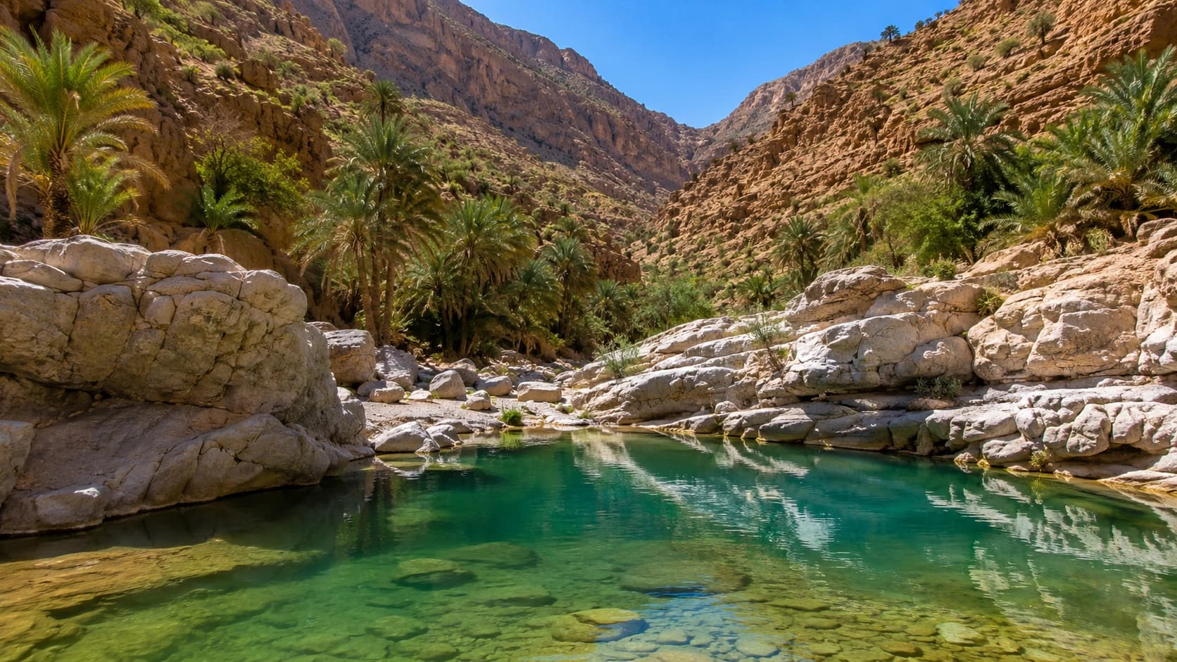 Paradise Valley natural pools and palm canyon