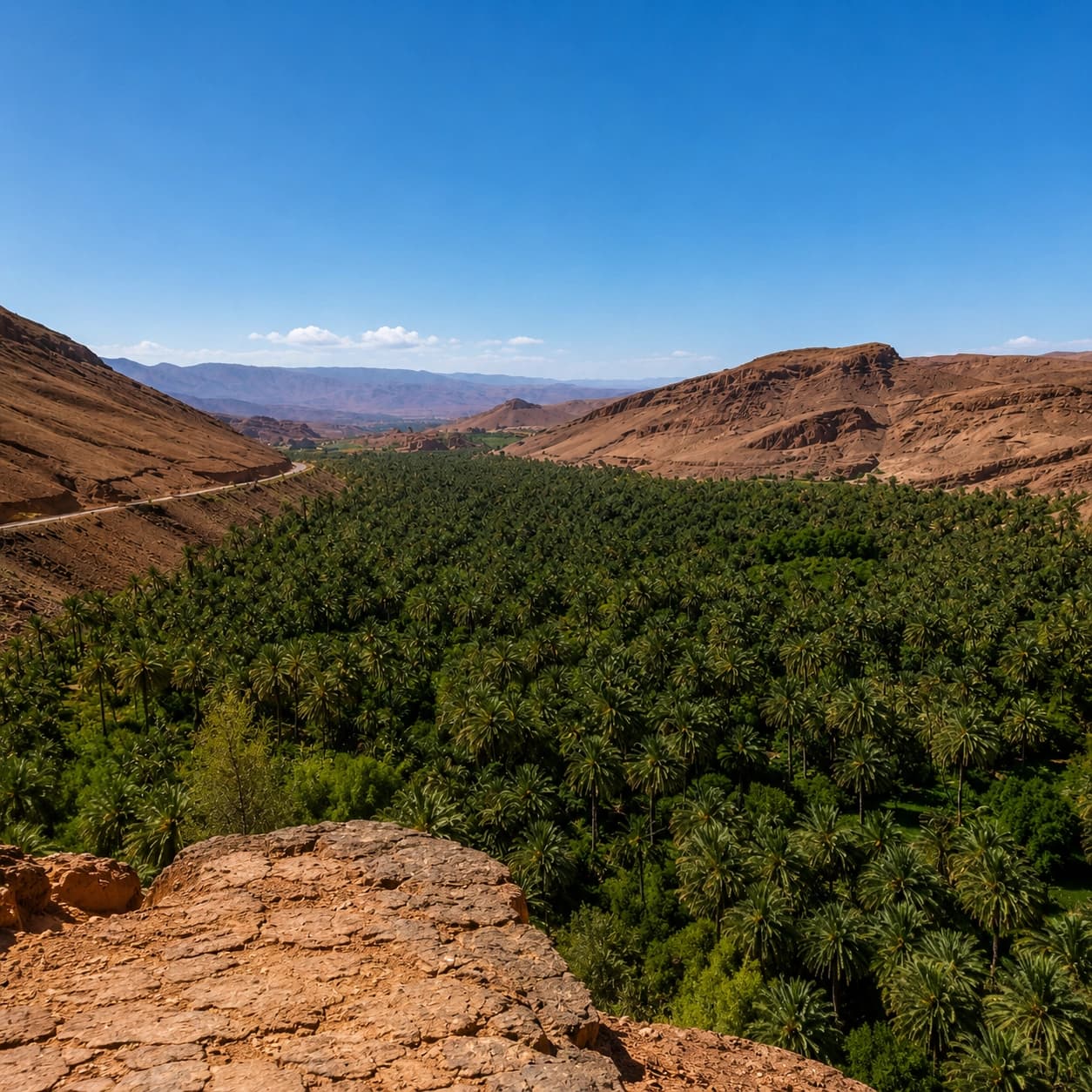 Oasis viewpoint