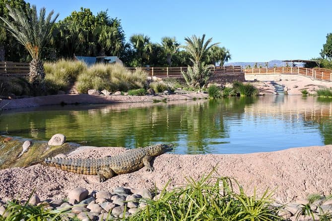Crocoparc Agadir — photo 2