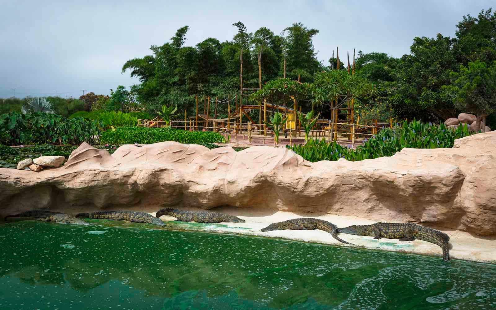 Crocoparc Agadir — photo 3