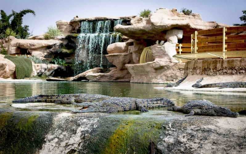 Crocoparc Agadir — photo 4