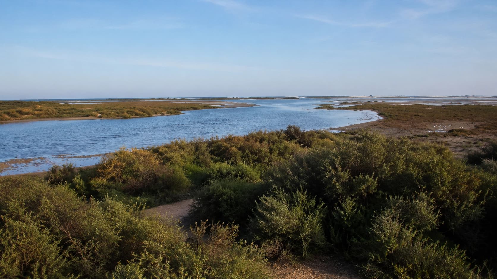 Oued Massa wetland