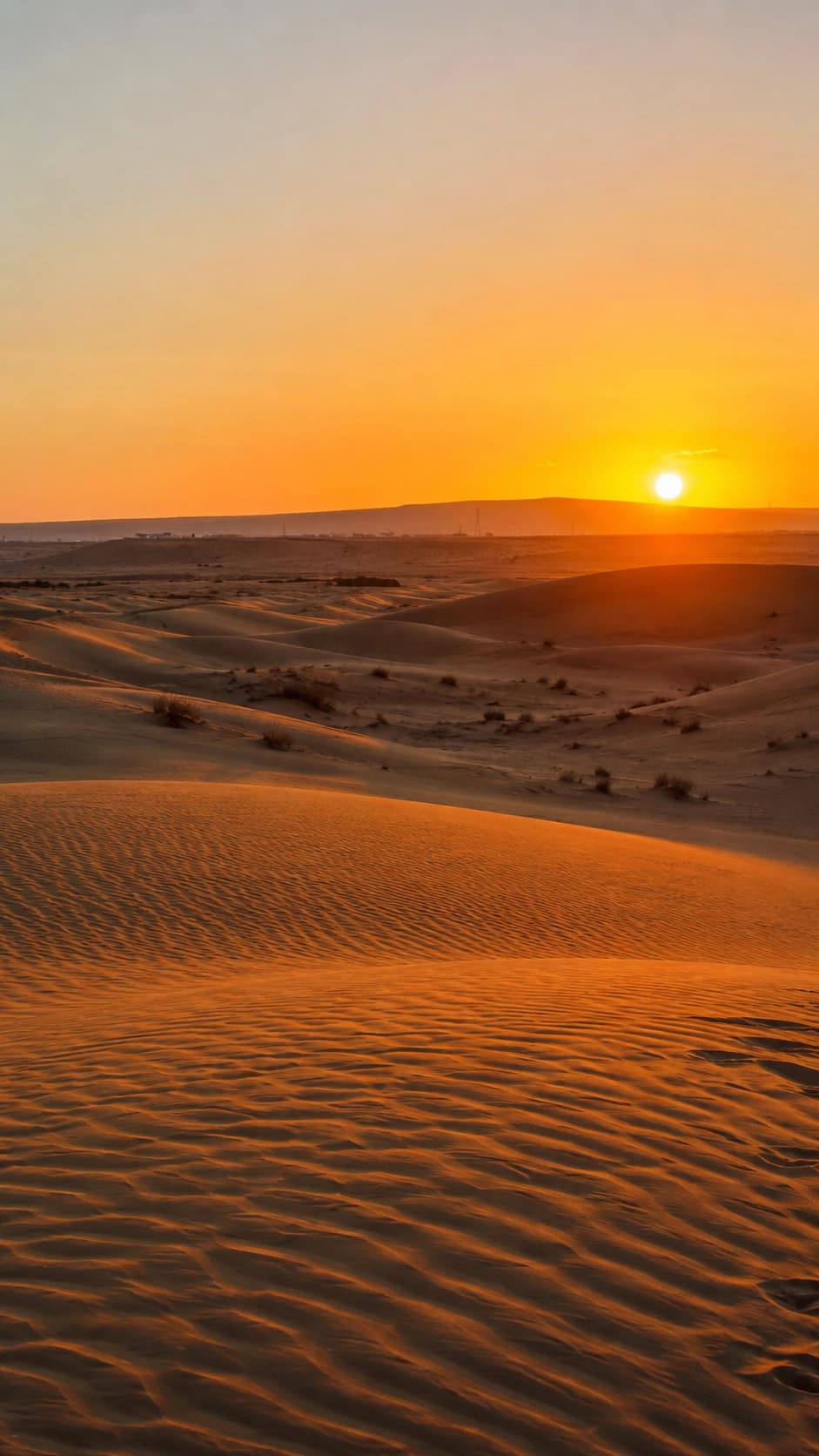 Sahara dunes